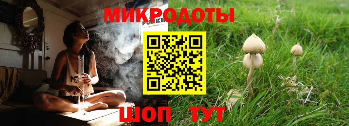 Галлюциногенные грибы GOLDEN TEACHER Сосновоборск