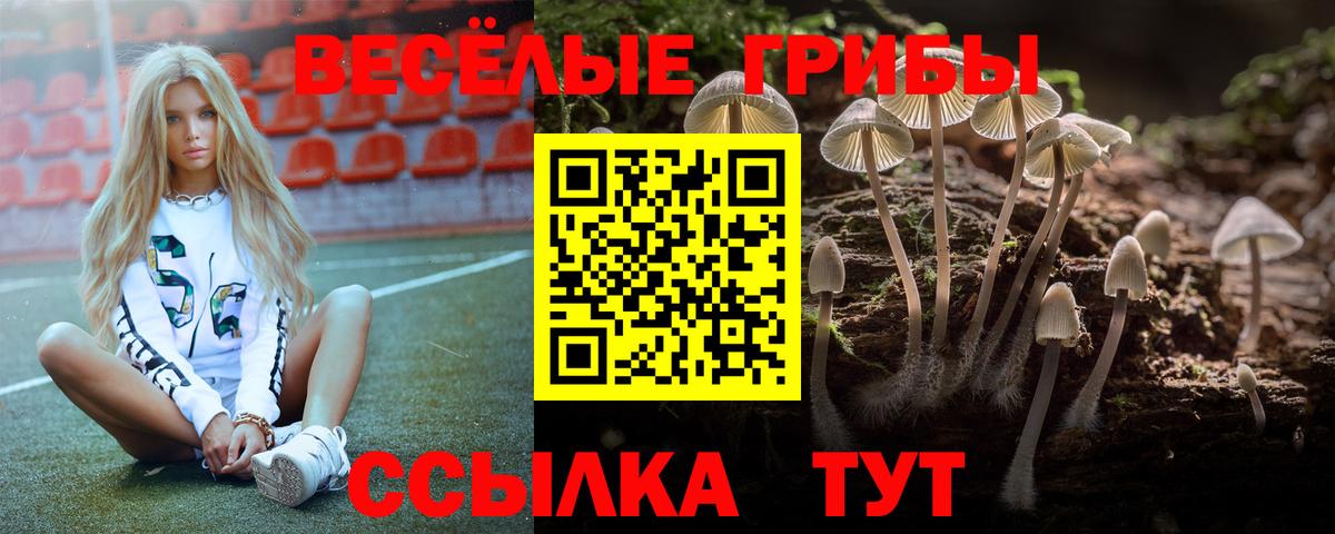 Псилоцибиновые грибы Psilocybe  Вход с VPN  Галлюциногенные грибы Psilocybine cubensis  даркнет сайт  Сосновоборск 